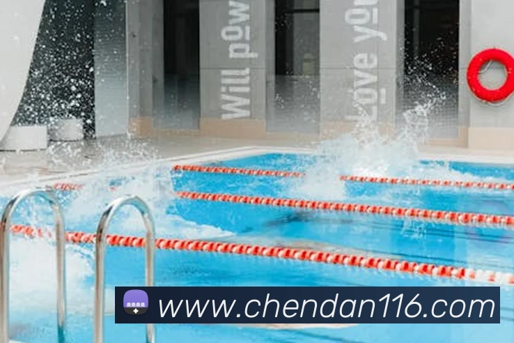 半岛平台在线登录发展历程